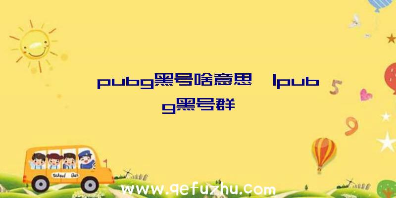 「pubg黑号啥意思」|pubg黑号群